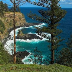 Escapade en Australie : découvrir les attraits de l’île de Norfolk